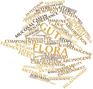 Abstract word cloud for Gut flora with related tags and terms
